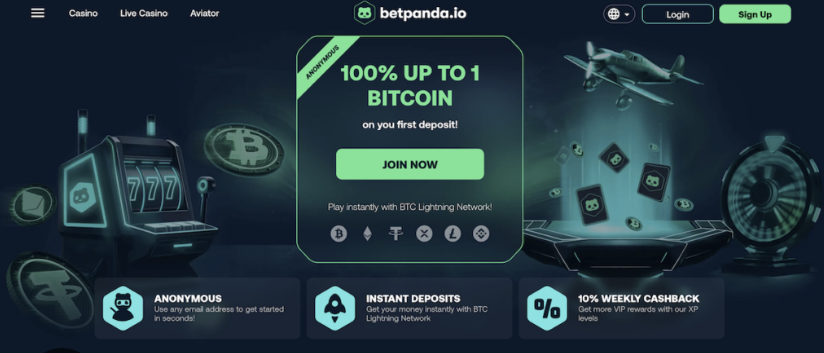 BetPanda Casino Website