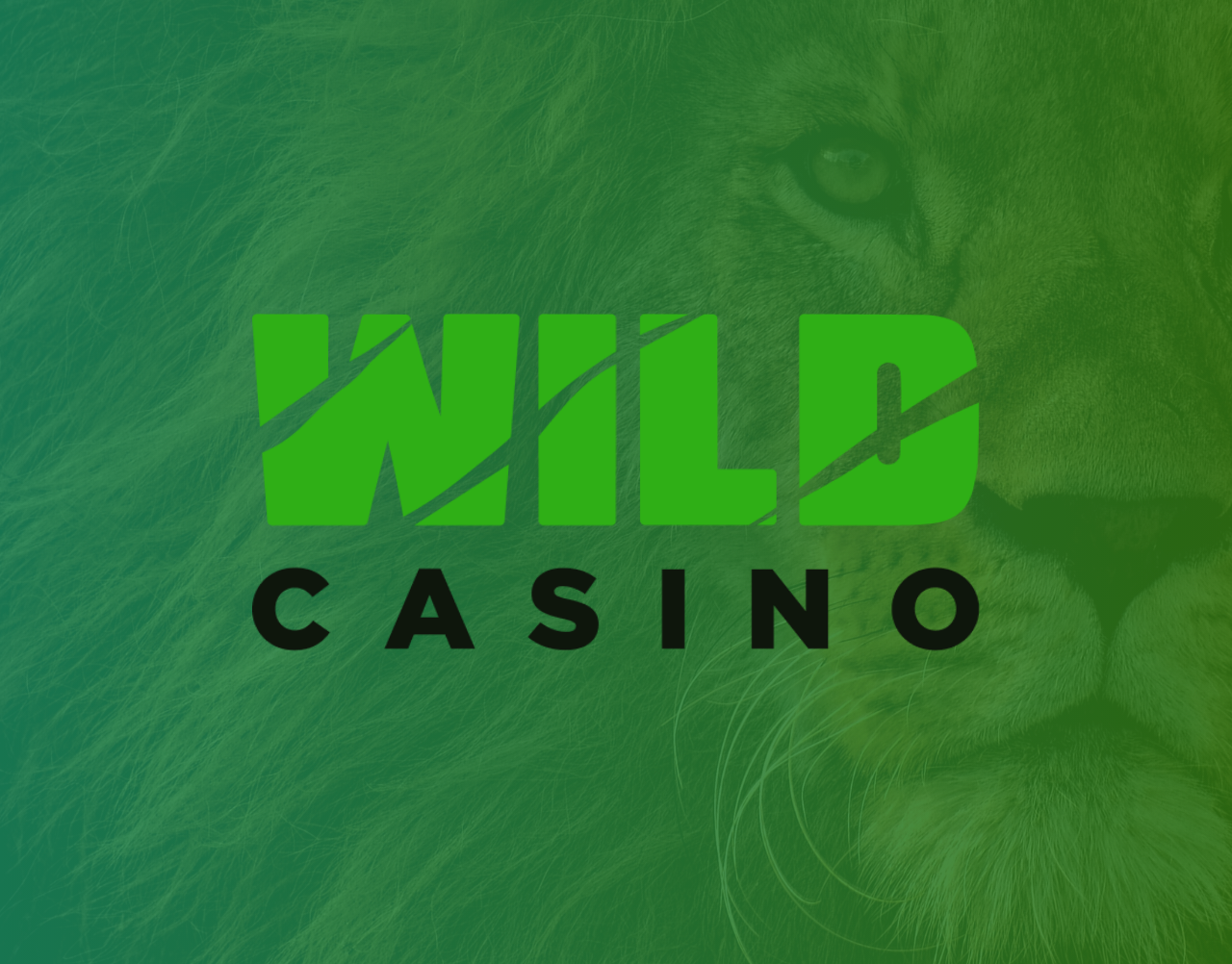 Wild Casino Review